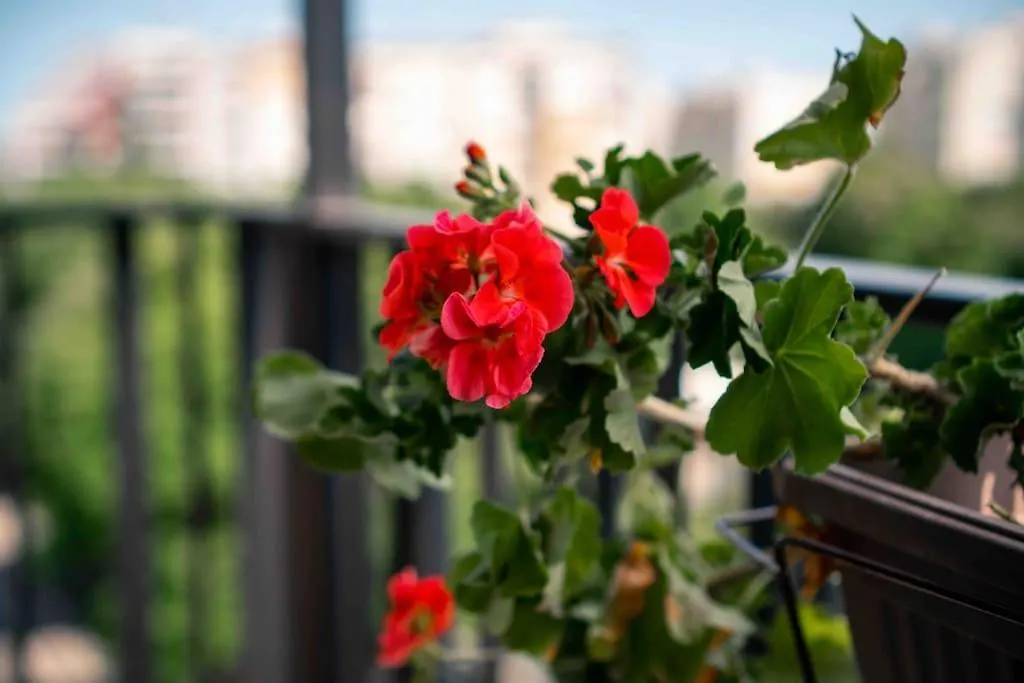 Sky Residence Burgas + Free Garage Bulgaria